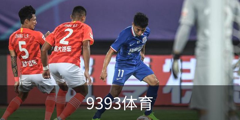 9393体育介绍